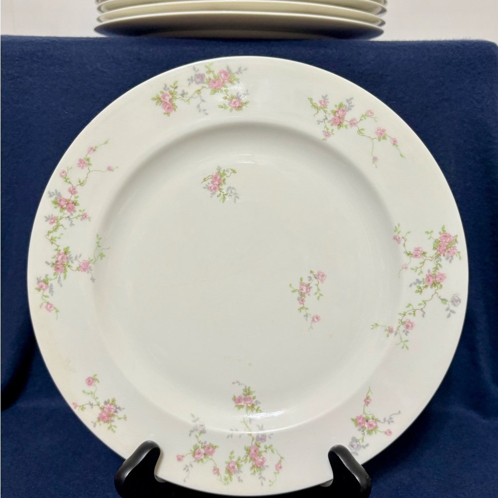 Theodore Haviland New York Made in USA Pink Spray Set of 9 10 1/4" Dinner Plates - Picture 9 of 11